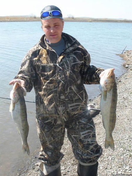 Александр Анисимов