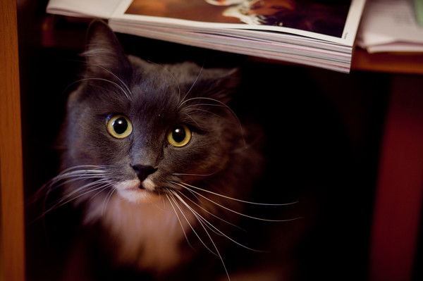 Михаил Кузнецов