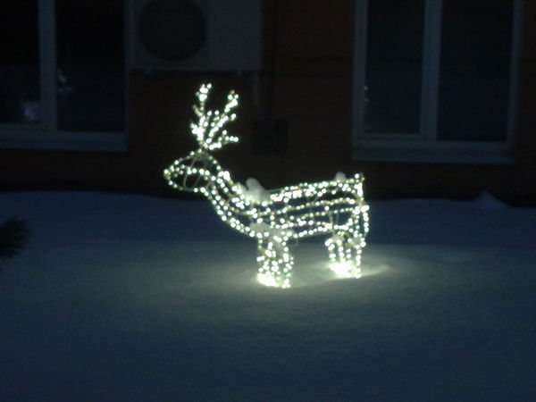 Дима Масютин