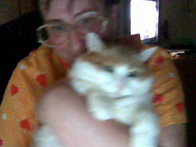 Наталья Цигельницкая