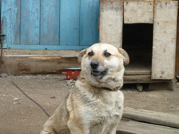 Ралия Алексеева