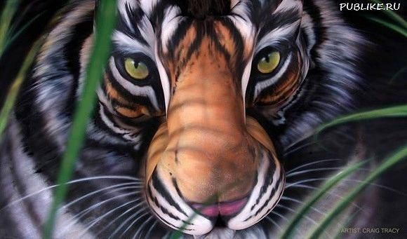 Дима Артамонов