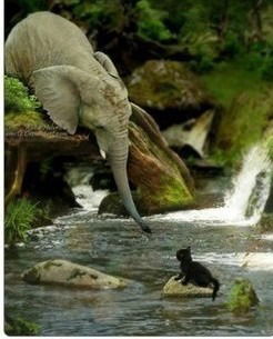 Константин Семендяев