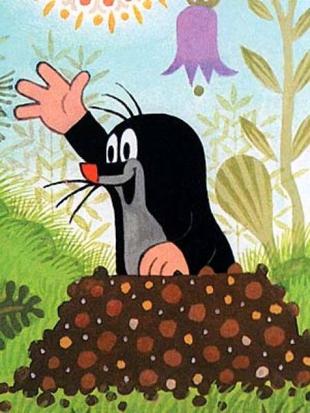 Анна Хлыбова