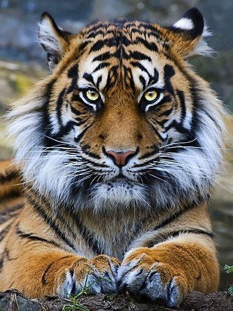 Наталья Кравчук