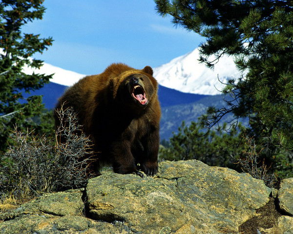 Станислав Тон