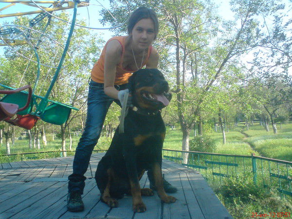 Вероника Лысенко