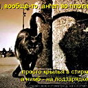 Федя Рашпель