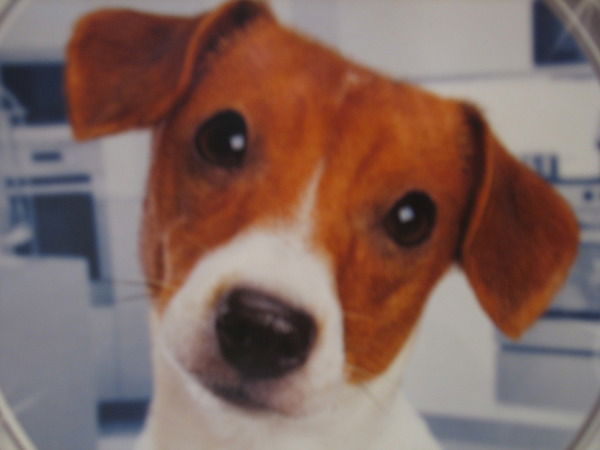 Геннадий Себелев