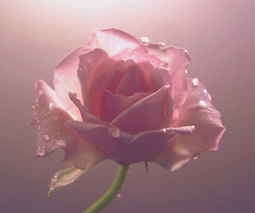 Ирина Падерина