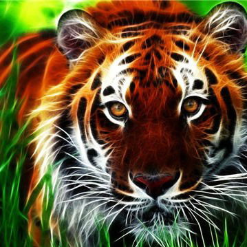 Николай Матафонов