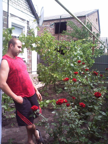 Дима Баюрак