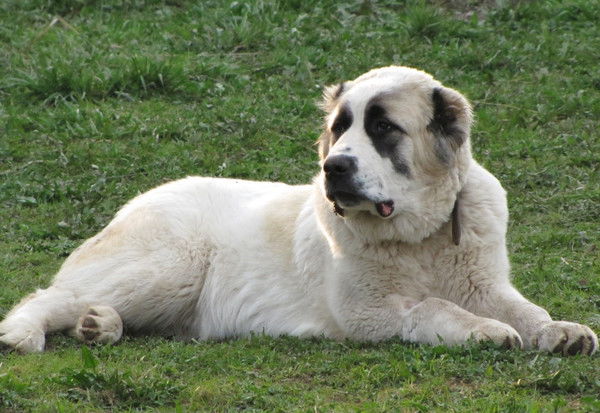 Сергей Жуков