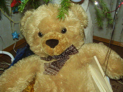 Даша Лукьянова