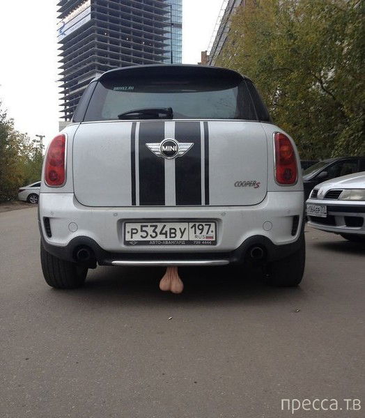 Андрей Лапицкий