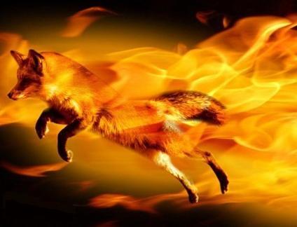 Андрей Лаптев