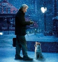 Алеша Пасишниченко