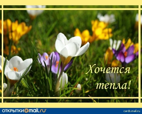 Жумагуль Шулгаубаева