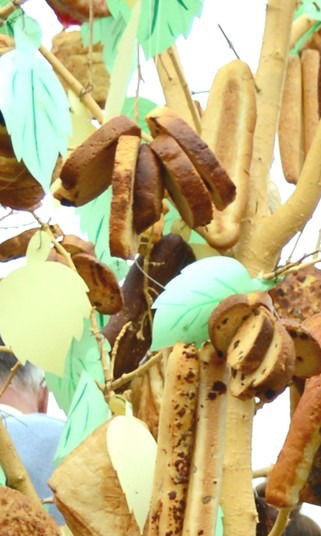 Ольга Тимошкова