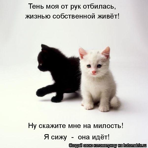 Алиночка Матвеева