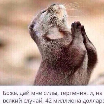 Данияр Шарипов