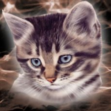 Леонид Кравцов