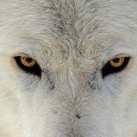 Денис Сергеевич