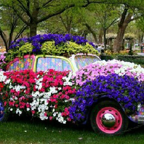 Қарлығаш Қыпшақбаева