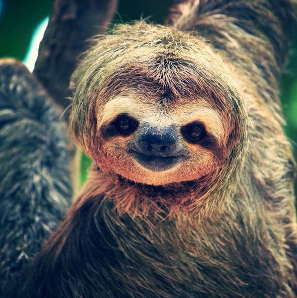 Tema15 Кузнецов