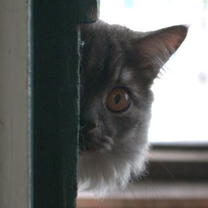 Алексей Беленёв