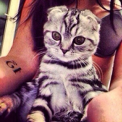 Дарья Суворова