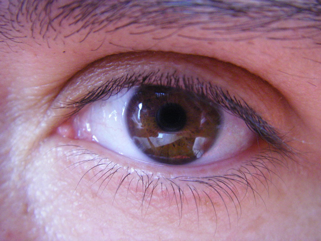 Бесконечное Лето