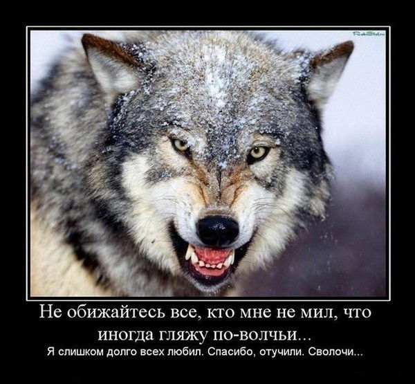 Александр Антоненко