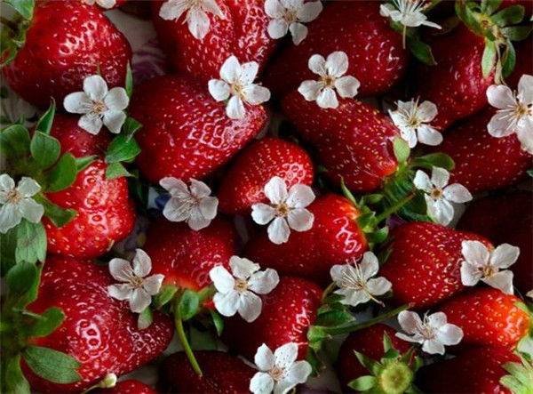 Зайко Ву Кедах