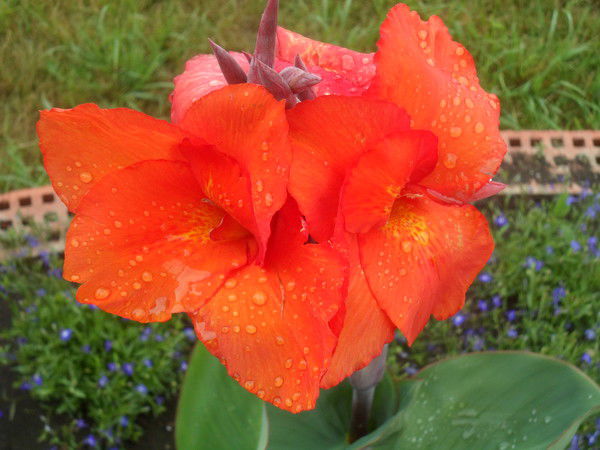 Александр Корчагин