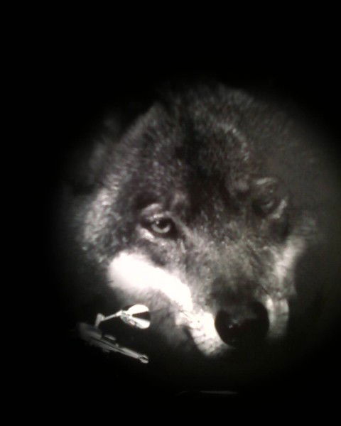 Маадыр Ооржак