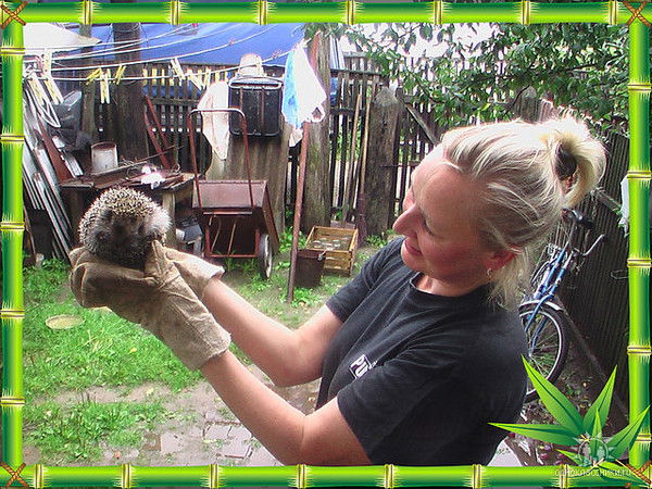 Марина Капитонова