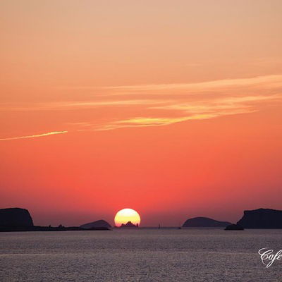 Владимир Маслов