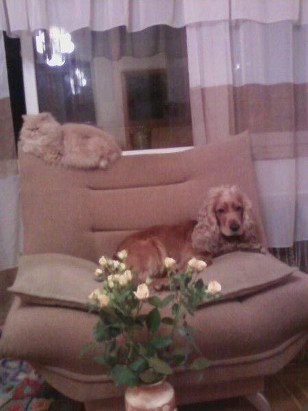 Ирина Шамарова