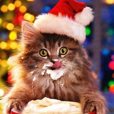 Светлана Черенкова (Щёголева)