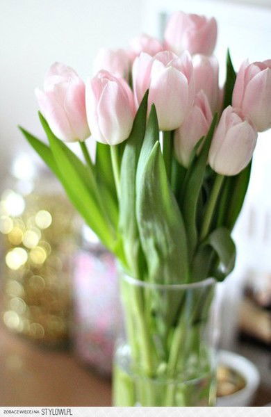 Любовь Ларионова