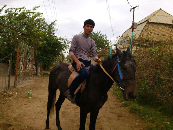 <-=At@=-> //-Oligarhium-\\