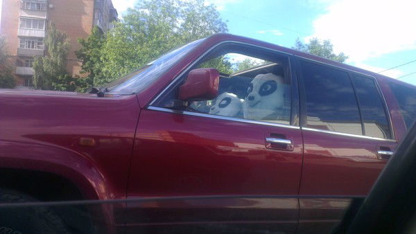 Кирилл Колесников