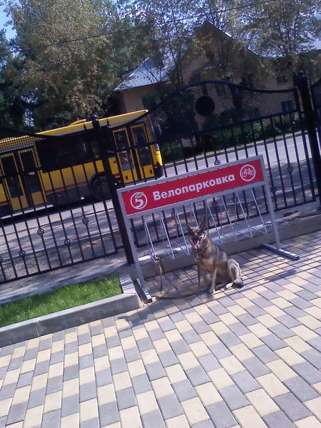 Михаил Афанасьев