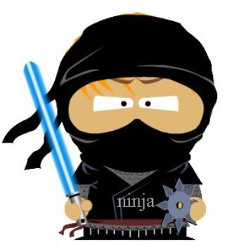 Ninja* ====/