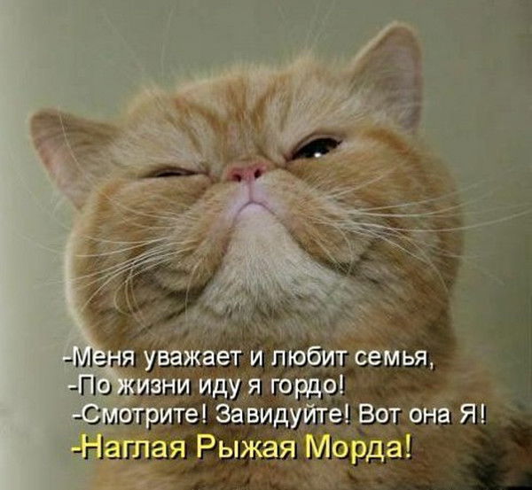 Ринат Абайдельдинов