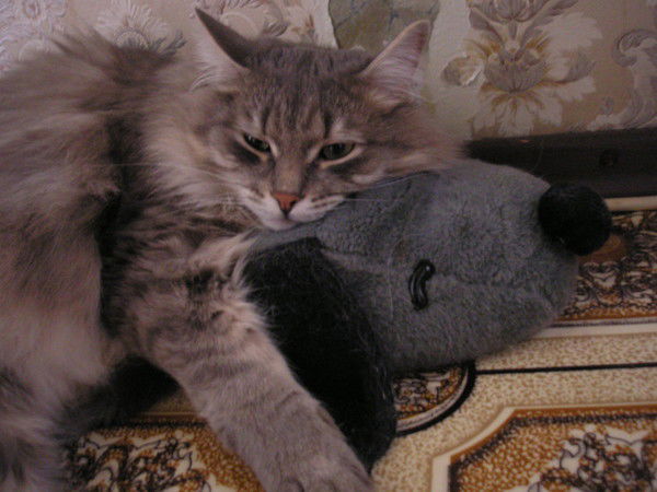 Инструменты Новосибирск