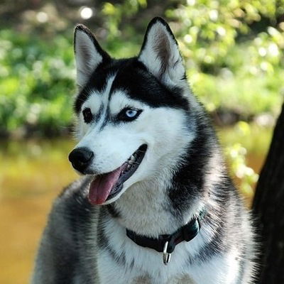 Катя Бурковская