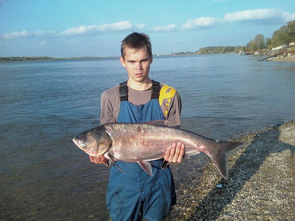 Максим Еранцев