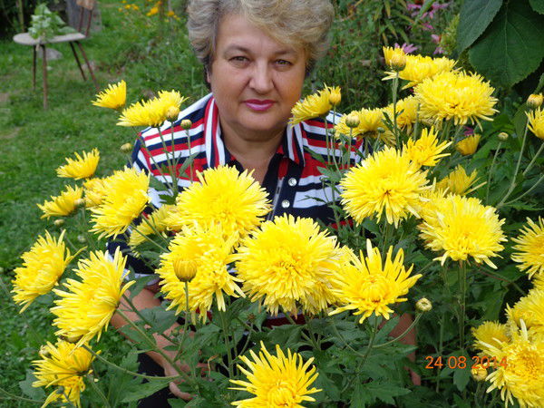 Людмила Кастрицкая